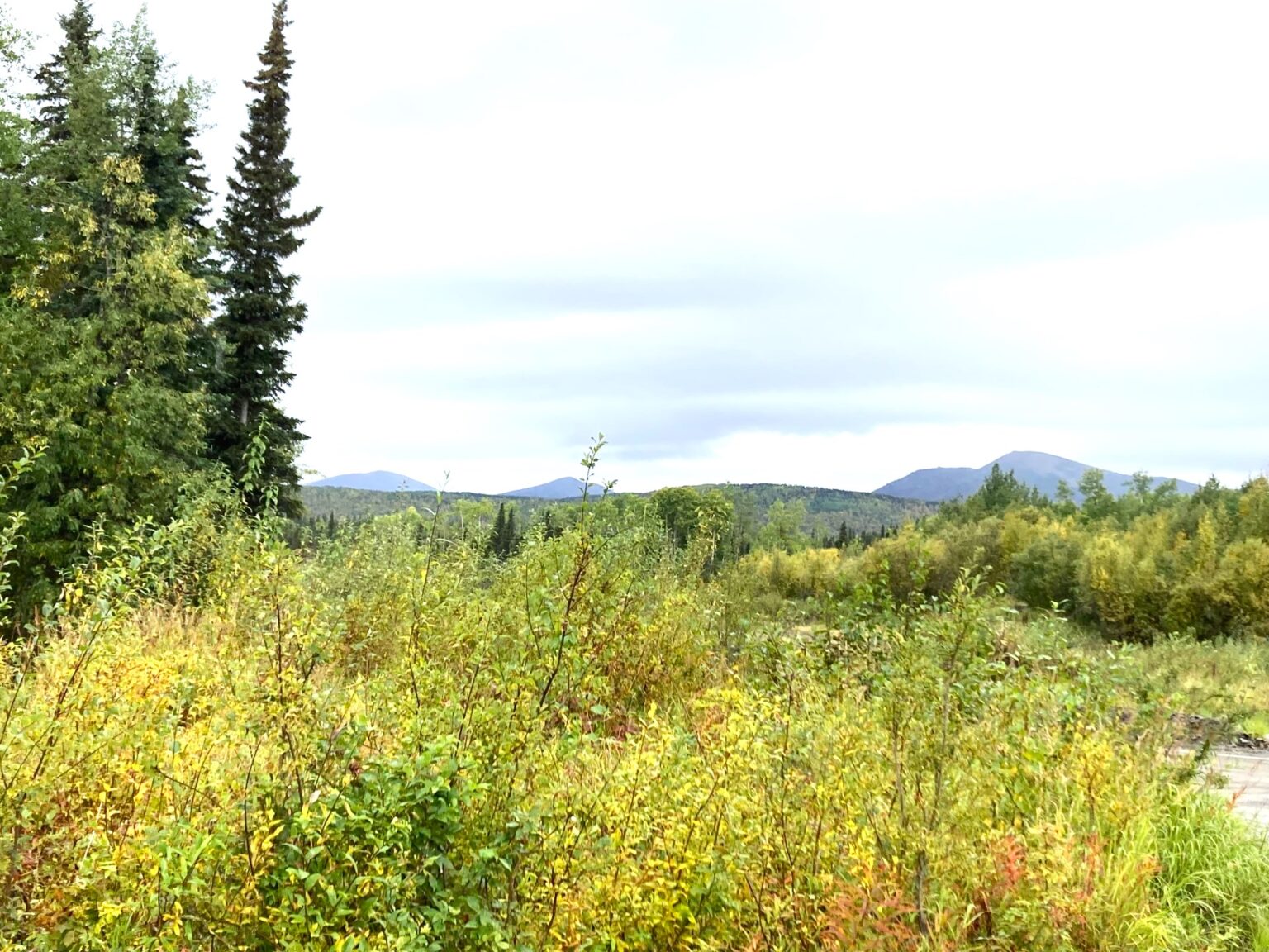 other programs Kaltag Tribal Council